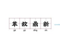 革故鼎新是什么意思 职场中如何运用这一理念