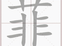 非组词 解答非组词有哪些与非的笔顺怎么写！