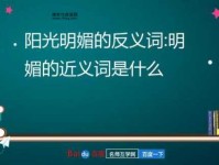 阳光明媚的反义词