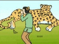 一目了然、洞若观火：全面解读管中窥豹的反义词