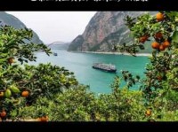 巴东三峡巫峡长，猿鸣三声泪沾裳。