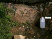 针尖对麦芒意思解释及典故