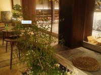 mj和lj是什么意思 网络用语解析大全