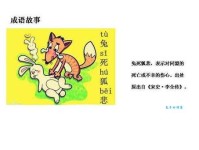 兔死狐悲是什么意思及成语故事？通俗易懂的释义分享！