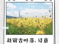 银杏唯美句子短一点：秋日金黄银杏叶，唯美意境诗意浓