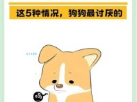 还不知道安身之狗是什么意思？快看这里！