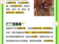 嫩芽是什么意思 嫩芽在园艺中的重要作用