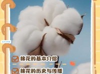cotton什么意思 简单解释棉花这个词的含义