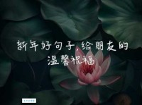 最新最全新年微信朋友圈祝福语，高级又文艺范