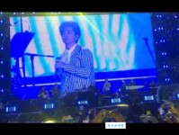 夙夜在公是什么意思