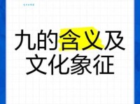 九是什么意思