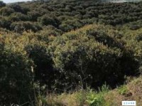 千篇一律意思解释及典故：缺乏创意的重复