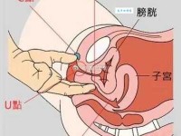 爱爱秘籍舔女人私处(舔阴)完全指南