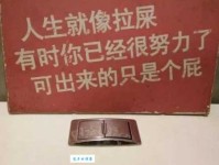 茅坑是什么意思？了解背后的文化内涵很关键！