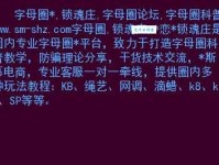 字母圈bd是什么意思
