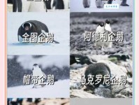 企鹅种类有哪些？企鹅主要吃什么？
