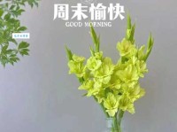 关于周末的快乐的句子