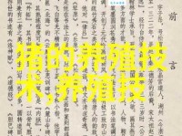 家破人亡：含义、出处及例句详解，快速掌握这个成语