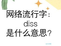 diss是什么意思？