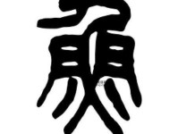 四个鱼字叠起来怎么念(  四个鱼字怎么念)