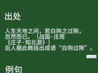 白驹过隙的意思和用法 教你正确使用这个成语