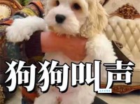 犬吠是什么意思？狗叫声的含义及典故解释