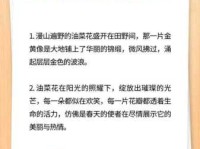 唯美油菜花短句摘抄：表达春意，记录美好瞬间