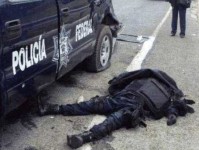 跳梁小丑意思解释及典故(到底有多猖狂)