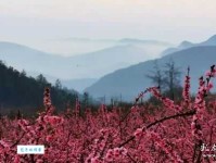 人面不知何处去，桃花依旧笑春风。