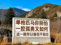 单枪匹马是什么意思生活中哪些情况算单枪匹马