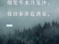 烟笼寒水月笼沙，夜泊秦淮近酒家。