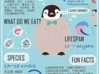 企鹅是什么意思？探秘企鹅的生物特征和文化内涵。