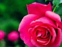 黯淡无光意思解释及典故(  跟啥东西比才更明显)