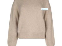 极网的意思：互联网的未来形态