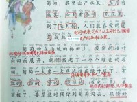 枝干的拼音是什么？3个技巧帮你轻松记住！