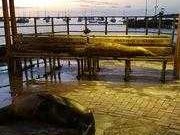 视若无睹意思解释及典故：冷漠与忽视的警示