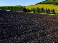 浇灌母亲肥沃的土地(我们该怎样去回馈她的付出)