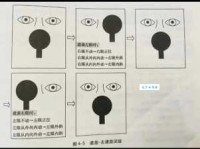探究横遮竖挡的意思，原来是这样用的！