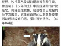 鲁迅笔下的猹怎么读？读音、拼音、组词一次搞定