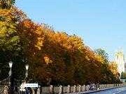 无及的意思：无法触及的彼岸