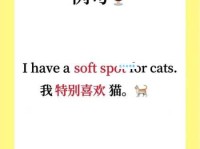 spot是什么意思 生活中哪些场景会用到这个词