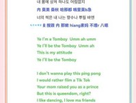 vocal是什么意思 中文翻译和常见用法解析