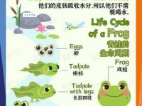 frog是什么意思？带你快速了解这个英文单词的含义