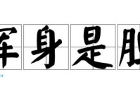 浑身是胆