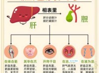 胆是什么意思 胆和肝有什么关系