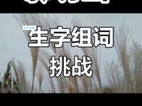 飘组词_飘字组词