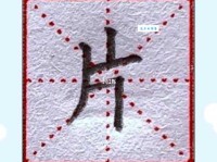 片的组词 解答片的组词有哪些与片面的片的组词怎么组