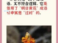 「成语故事」明日黄花