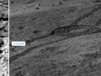 瓦解土崩意思解释及典故