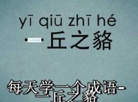 一丘之貉的近义词有哪些？详解常用近义词及区别